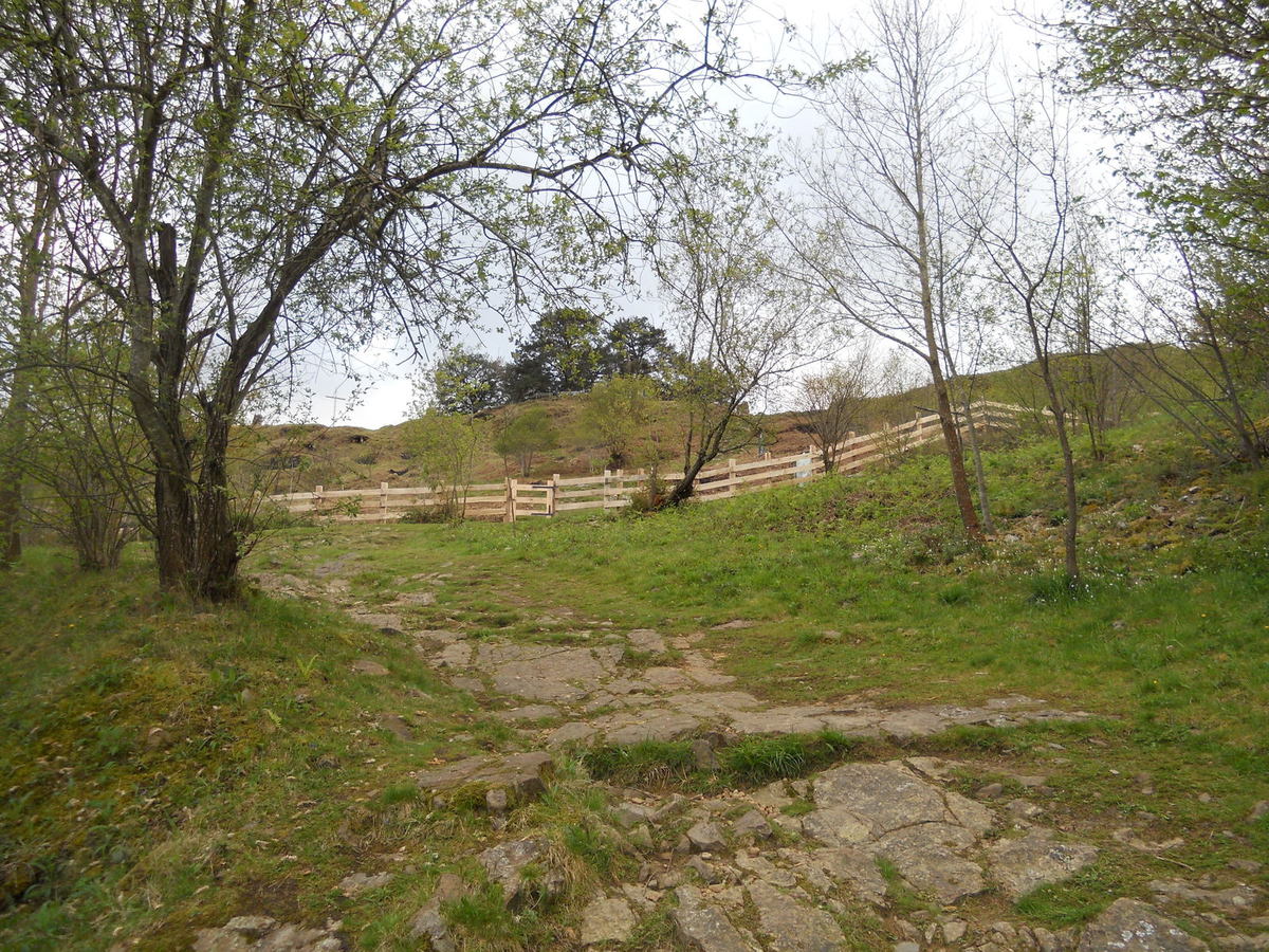 hek-rond-de-pines-3
